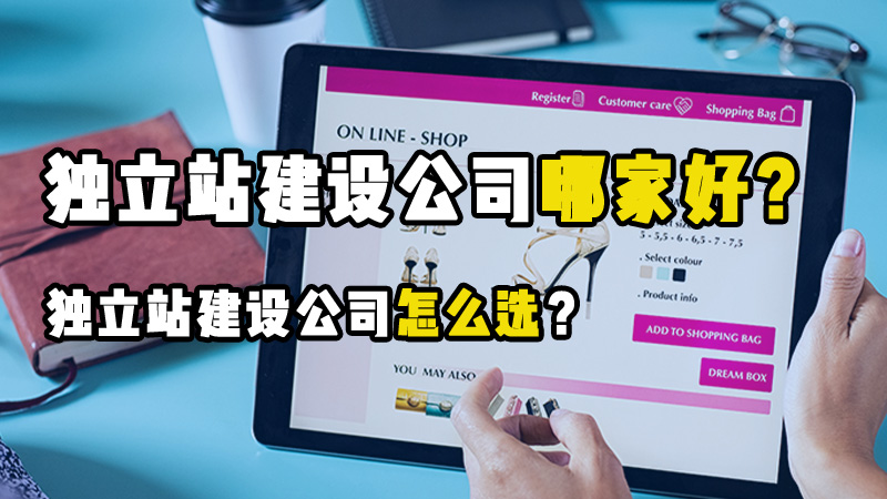 如何判断一家跨境电商独立站建站公司的专业性？